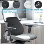 Lumbar Support Pillow for Office Chair - Image 2