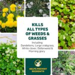 Spruce Weed Killer Refill for Spray Weed & Grass Killer - Image 5